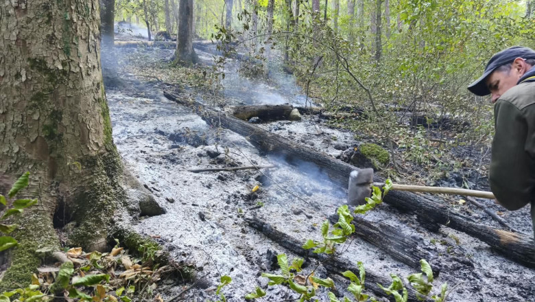 incendii vegetatie