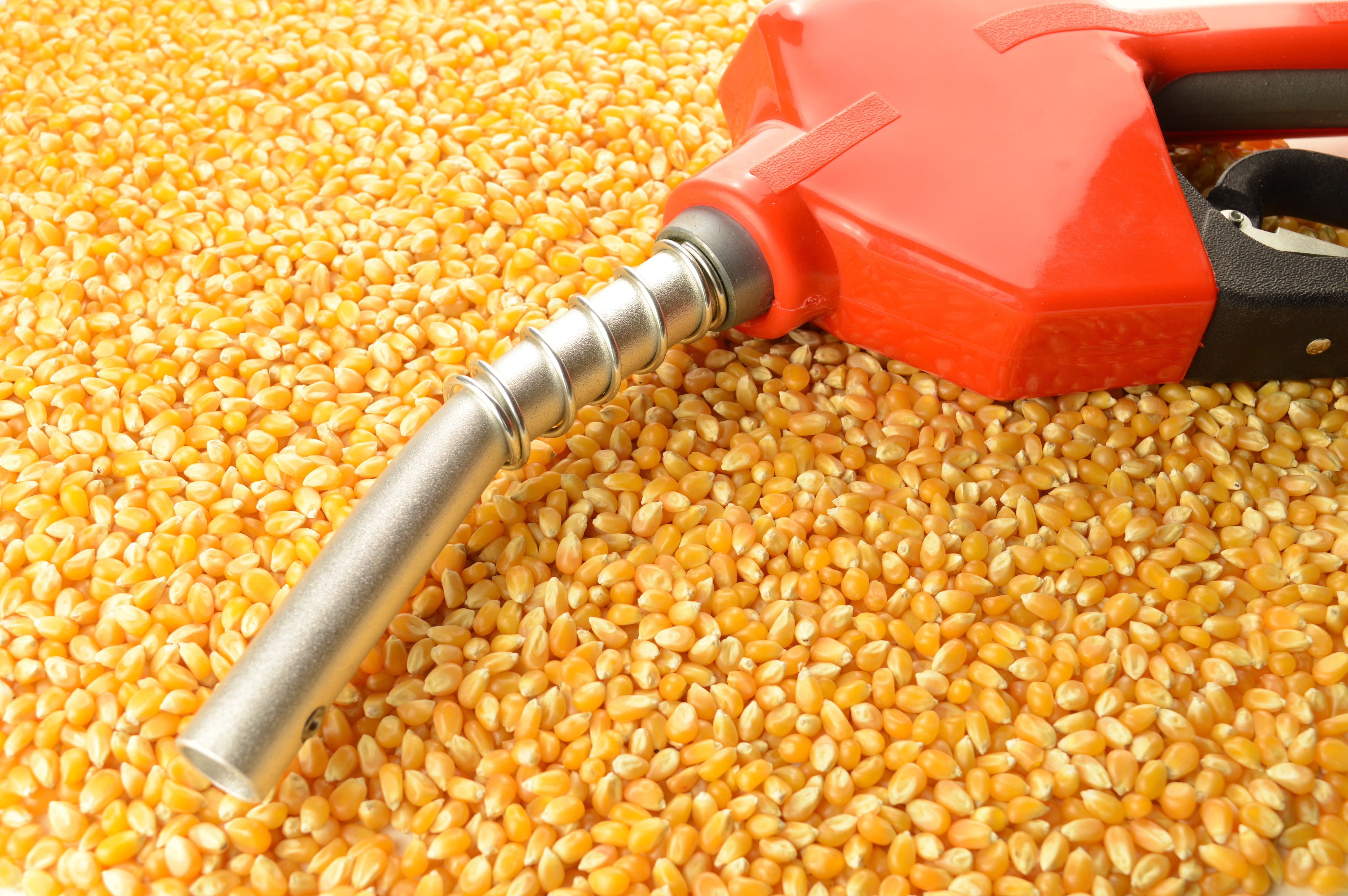 Biocombustibilii revin în forță în Europa: cine câștigă și cine pierde în cursa dintre importuri, agricultură și climă