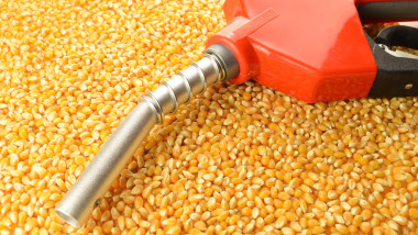 Corn Made Biofuel