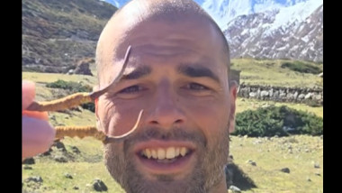 Ciuperca