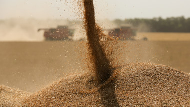 cereale
