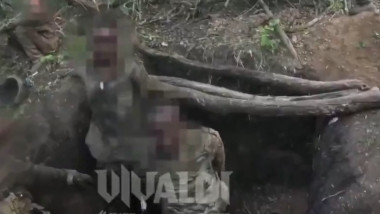 africani ucr