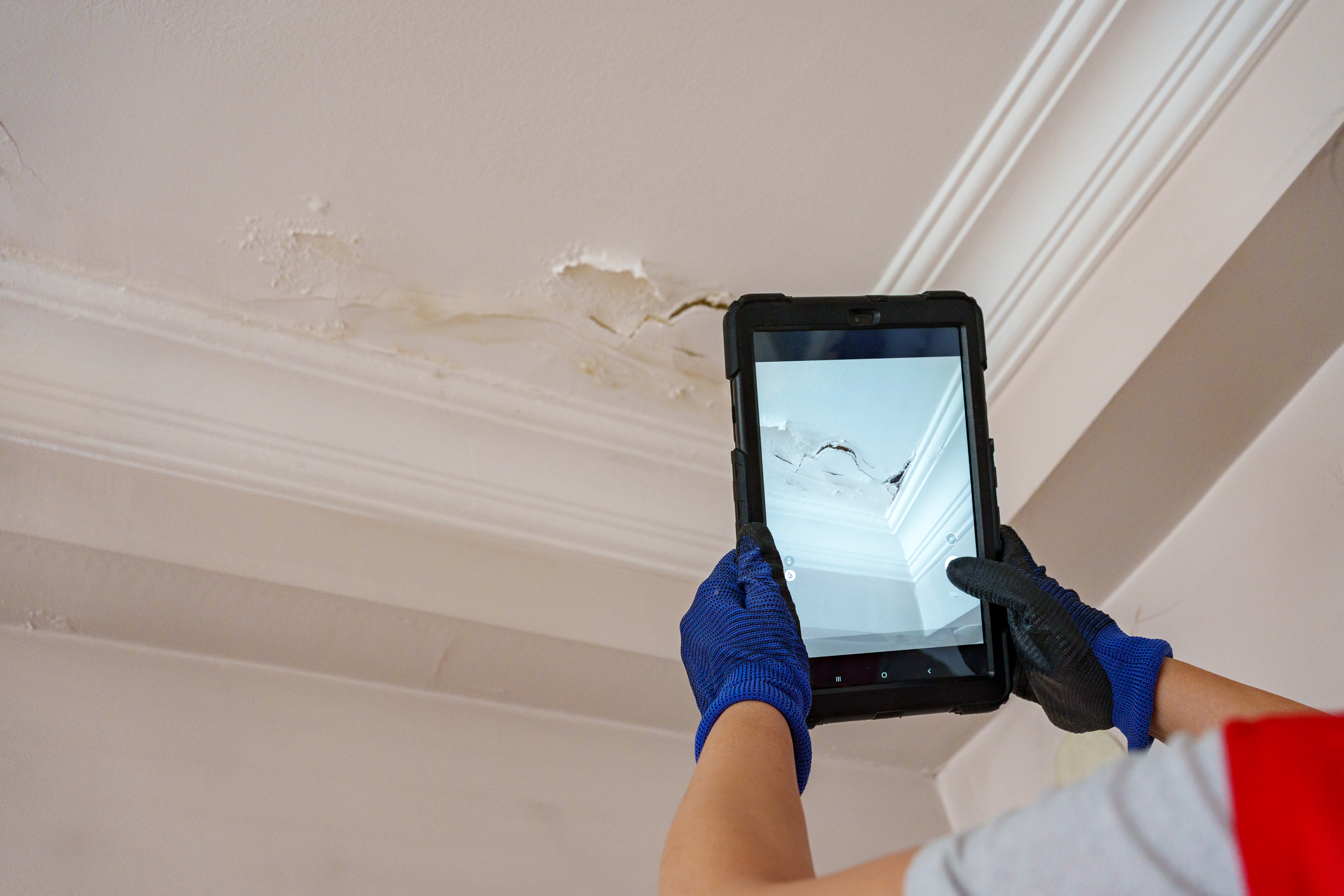 Ți-au apărut fisuri în pereți după renovările vecinului? Cine plătește reparațiile și când poți cere despăgubiri