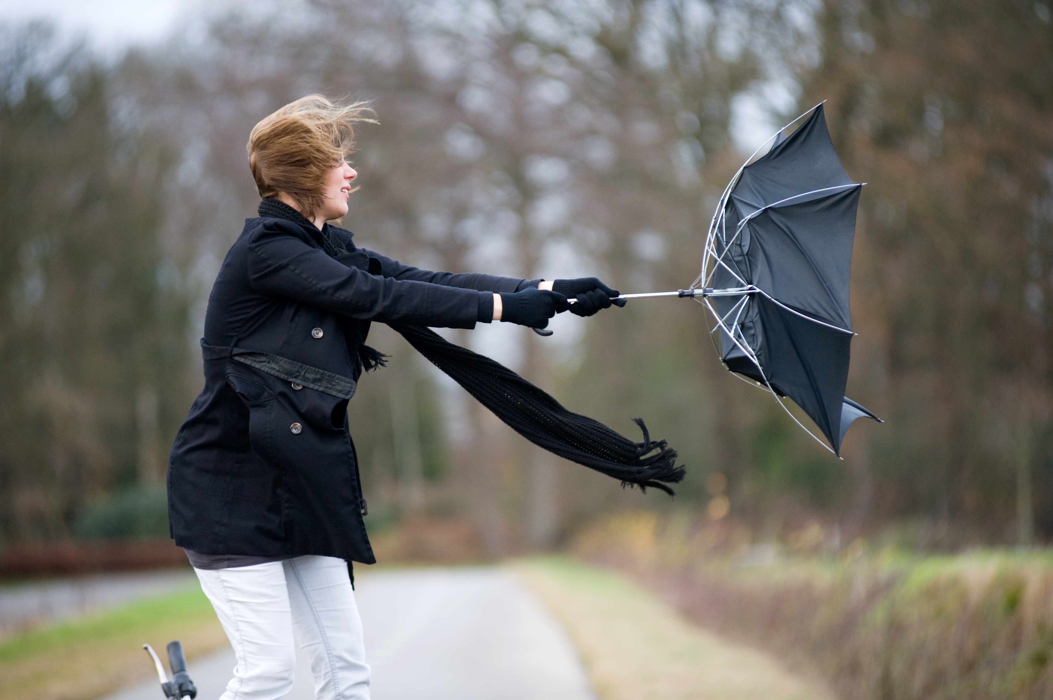 Meteorologii au emis cod galben de vânt puternic. Care sunt județele vizate și cum va fi vremea în București HARTĂ