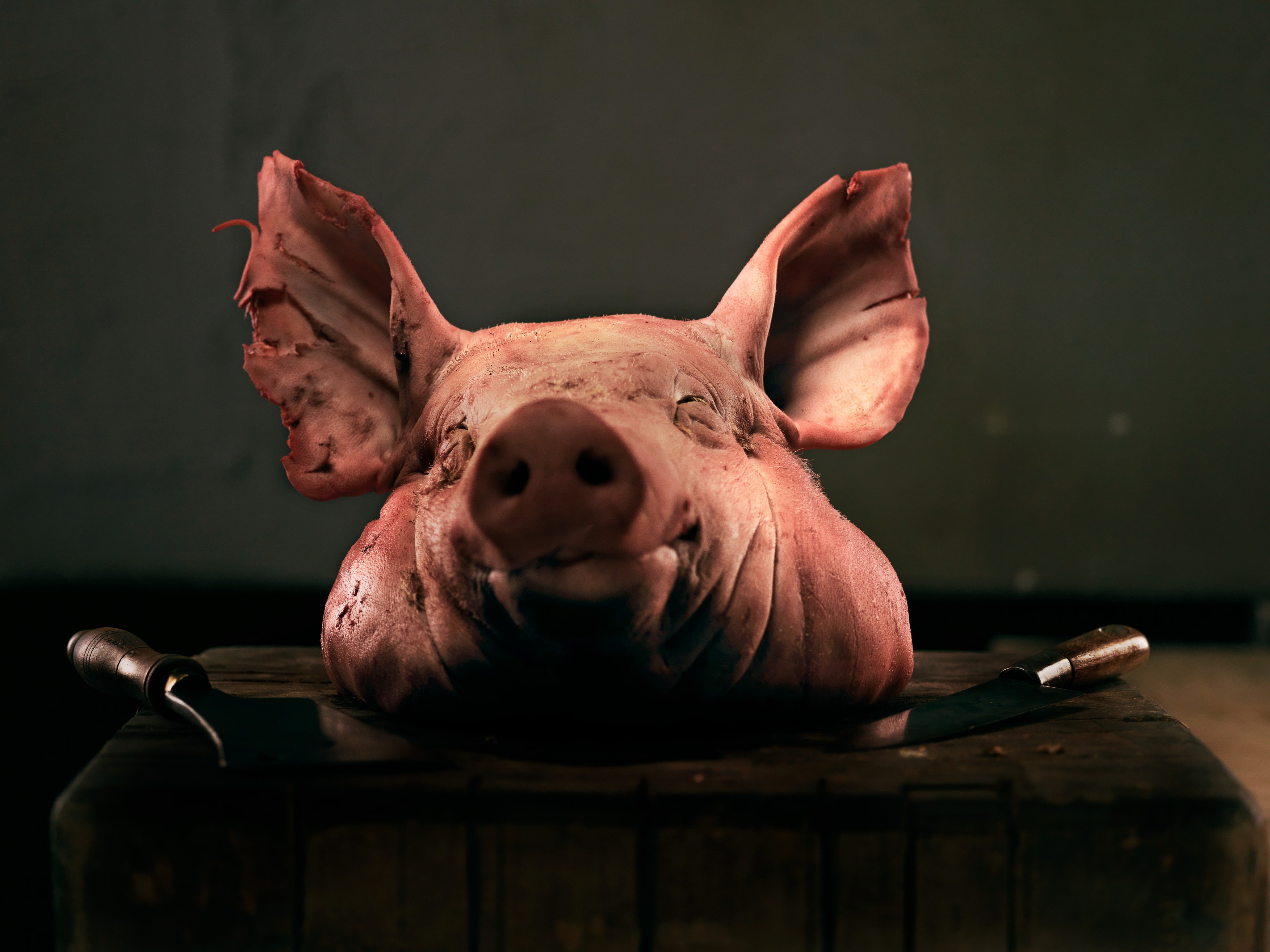 Saga capetelor de porc continuă. Un al doilea incident tip Cosa Nostra la proprietățile cofondatorului AUR, Marius Lulea