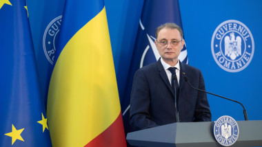 Luca Niculescu Guvern 2