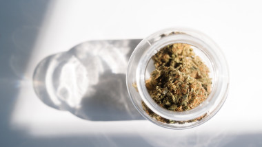canabis medicinal