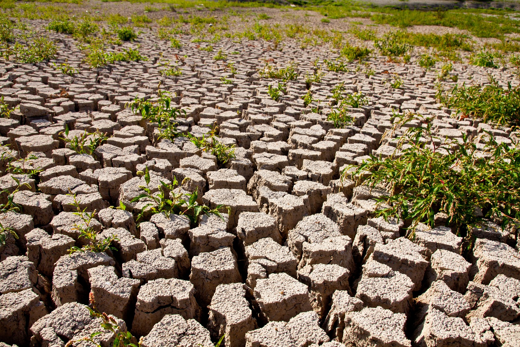 Lumea se îndreaptă spre o încălzire de 2,8°C „Mai e timp, dar fereastra de oportunitate se închide”