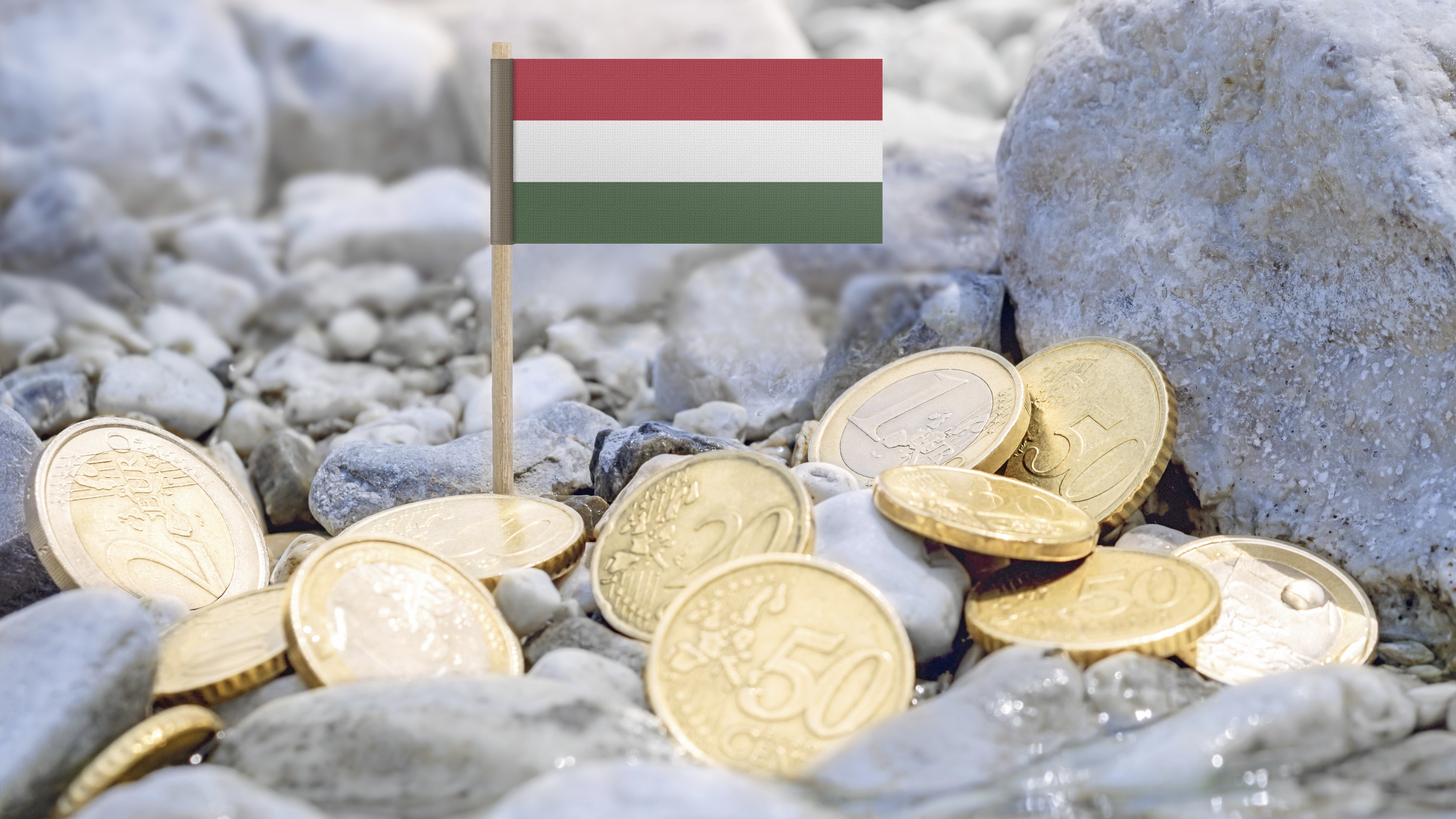 Ungaria vrea euro în 2032. Ce sacrificii bugetare face guvernul lui Magyar și ce riscuri ar putea întârzia adoptarea monedei unice
