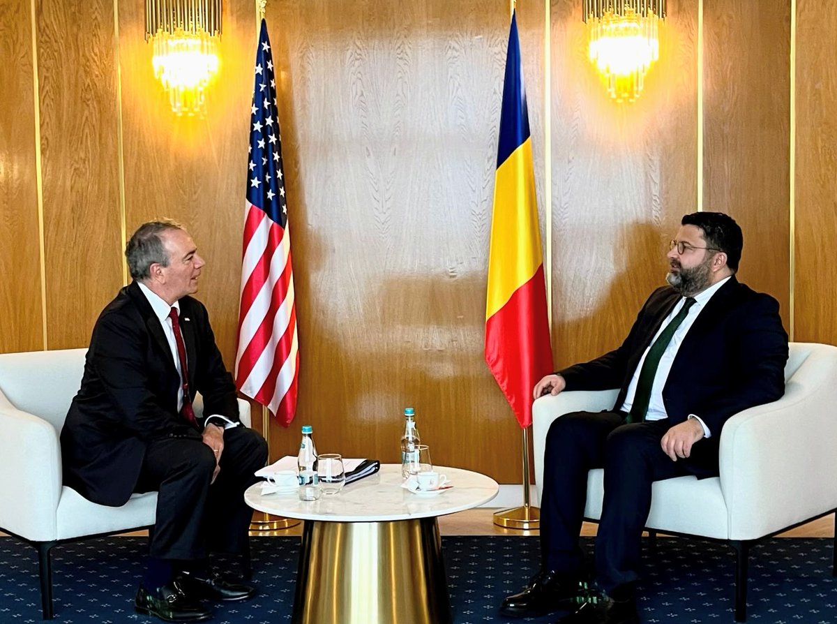 Dan Neculăescu, întâlnire cu ambasadorul SUA în România. Ce au discutat despre apărare și securitate
