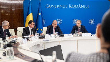 luca niculescu marian neacsu guvern despescu radu marinescu
