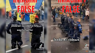 dileala