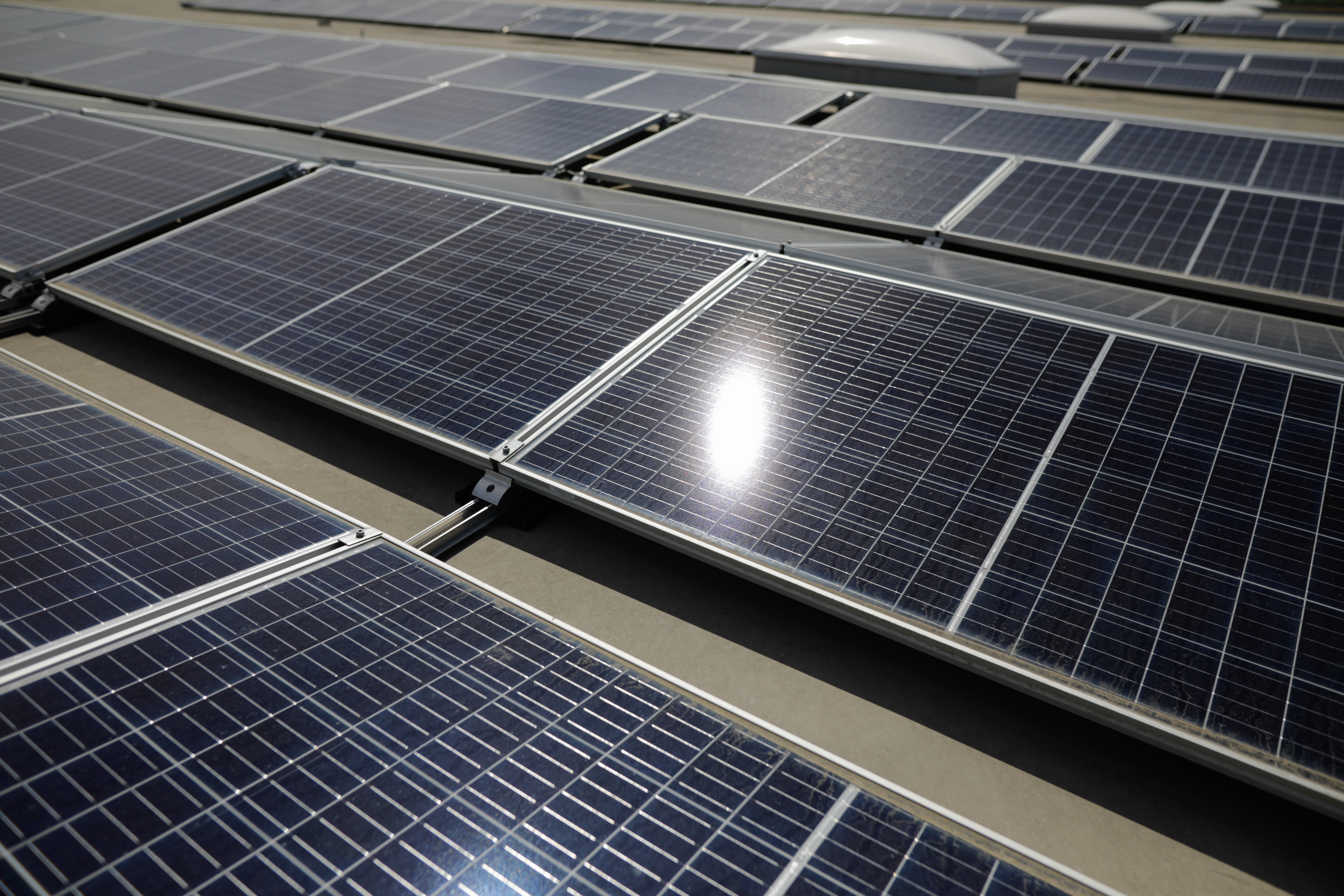 Furturi de cabluri din parcuri fotovoltaice, în trei judeţe. Suspecţii aveau două tone de cupru şi sute de mii de lei