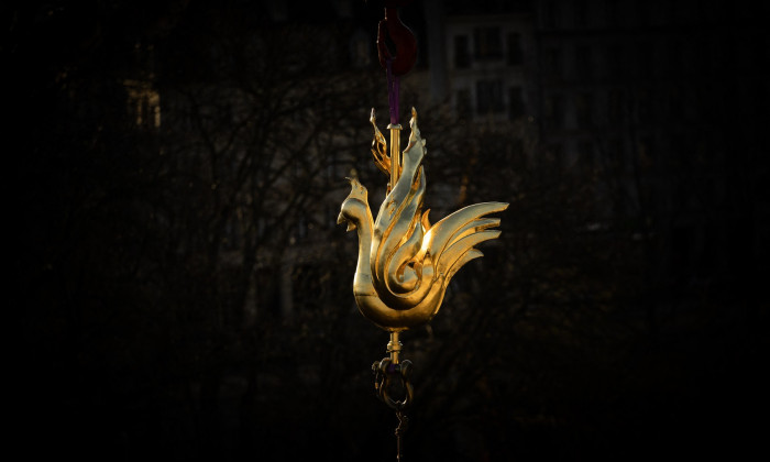 Notre-Dame Rooster Blessing Ceremony - Paris