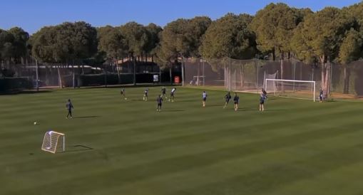 ”Bijuteria” de gol reușită de Florinel Coman în cantonamentul FCSB-ului
