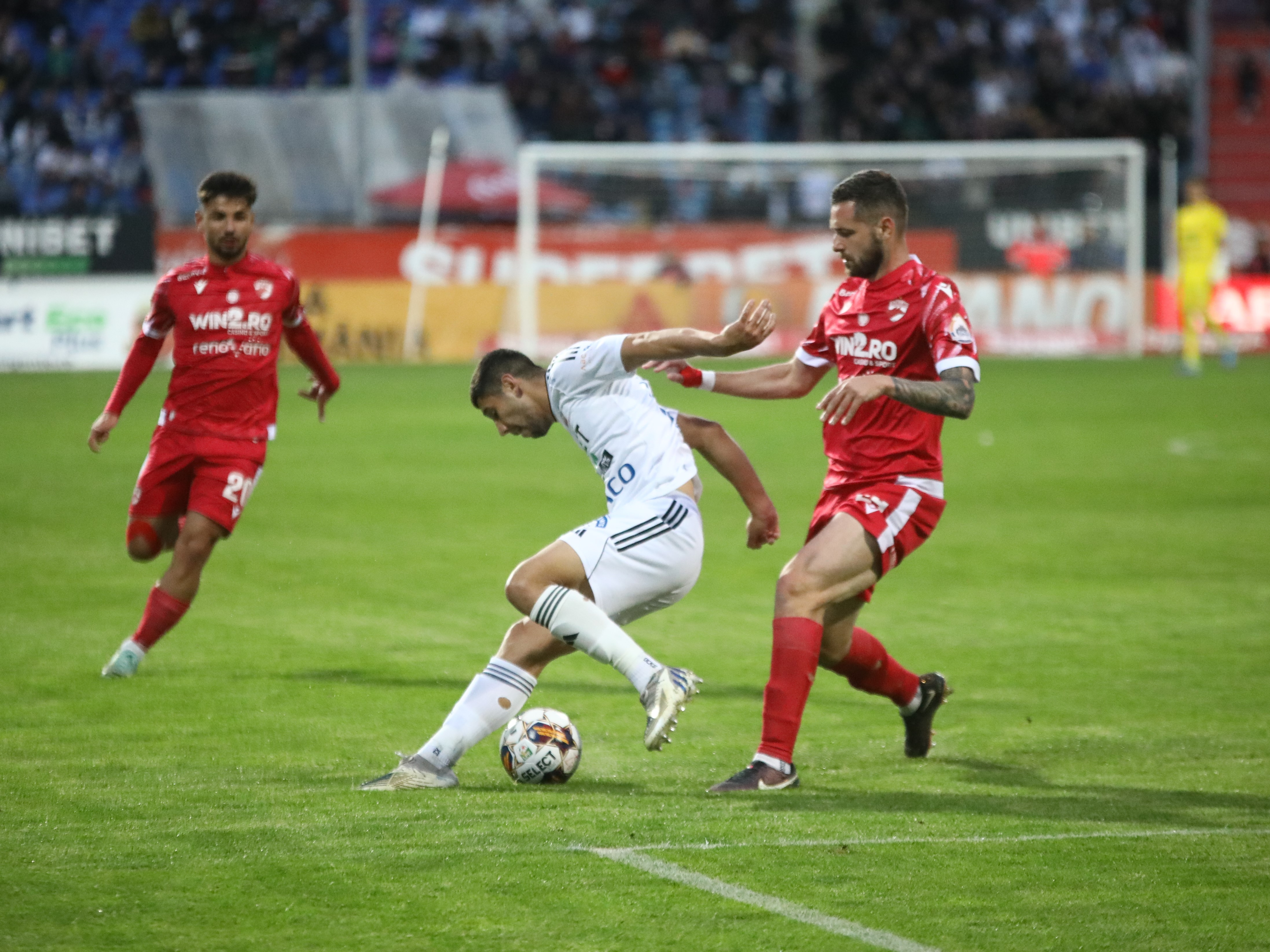 FC Botoșani - Dinamo 1-1, ACUM pe Digi Sport 1. ”Câinii” restabilesc egalitatea și rămân în 10