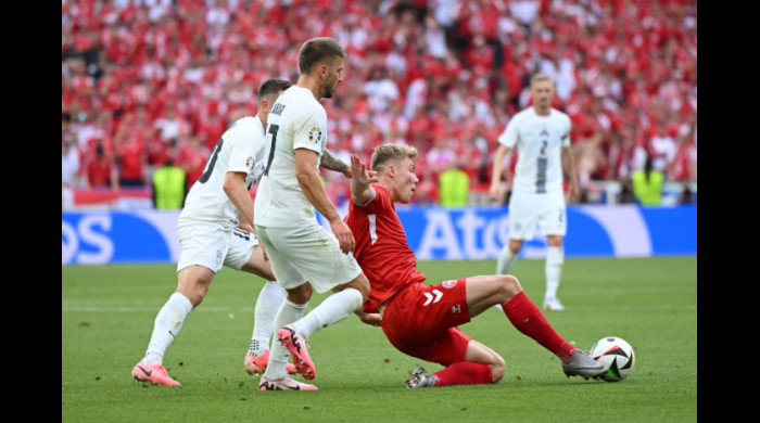 Meciul Slovenia - Danemarca / Foto: Getty Images