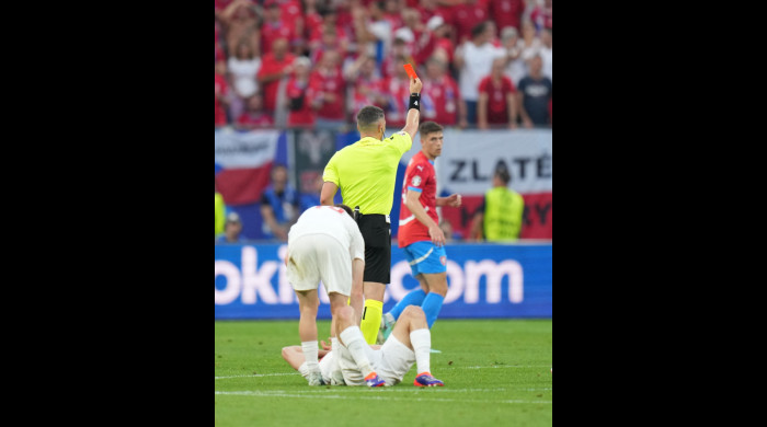 Istvan Kovacs, în timpul meciului Cehia - Turcia / Foto: Profimedia