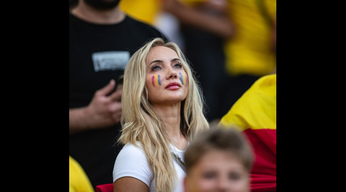 Fanii români la EURO 2024 / Foto: Profimedia