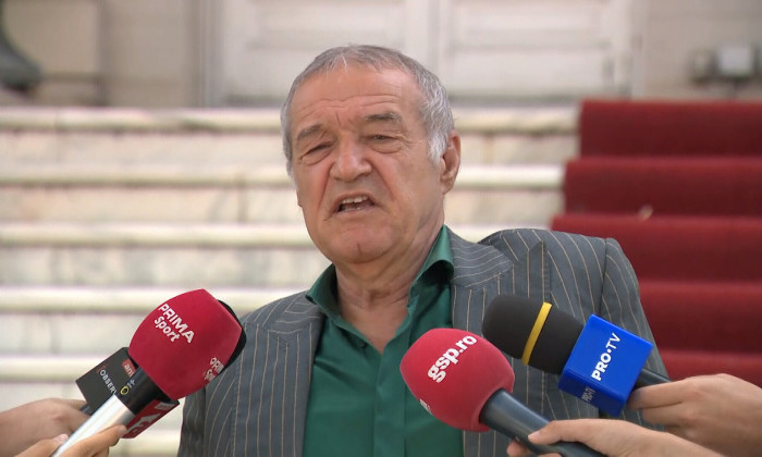 gigi becali palat (1)