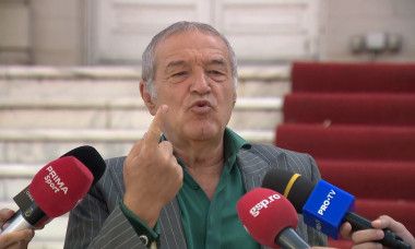 gigi becali palat (3)