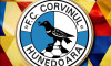 corvinul logo