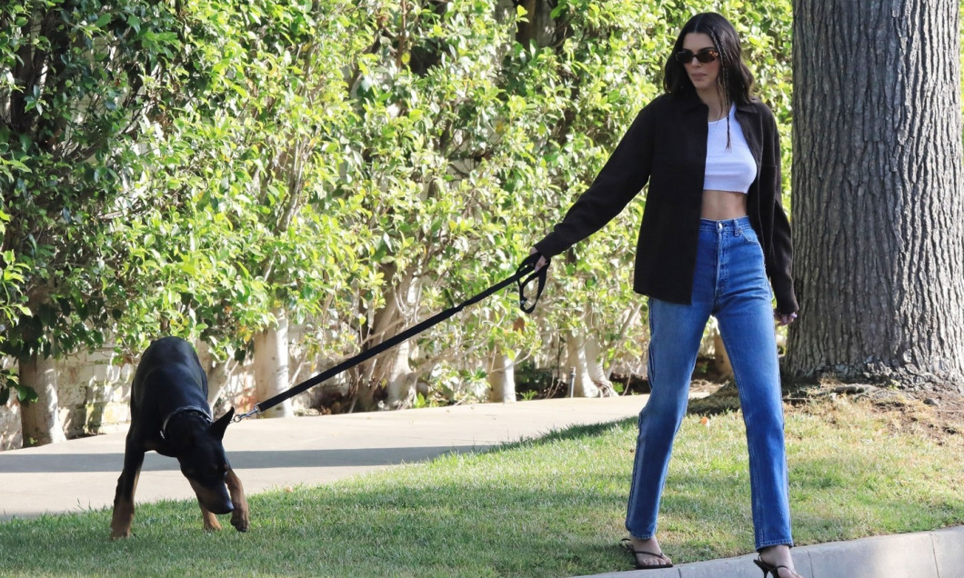 *EXCLUSIVE* Kendall Jenner takes her Doberman Pinscher out for a walk in Beverly Hills