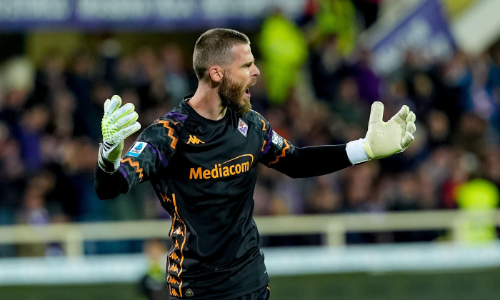 Florence, Italy. 06th Oct, 2024. David De Gea of ACF Fiorentina celebrates after saving the secon penalty kick of the match during the Serie A Enilive match between ACF Fiorentina and AC Milan at Stadio Artemio Franchi on October 06, 2024 in Florence, Ita