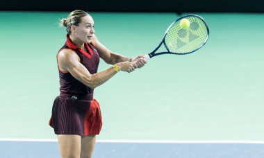 Japan vs Romania - Billie Jean King Cup Finals, Malaga, Spain - 14 Nov 2024