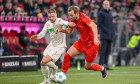 FC Bayern München v FC Augsburg - Bundesliga - Allianz Arena, Munich, Germany - 22 Nov 2024