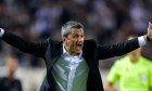 razvan-lucescu