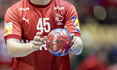 Denmark v Algeria, 2025 IHF Men’s Handball World Cup, Herning, Denmark