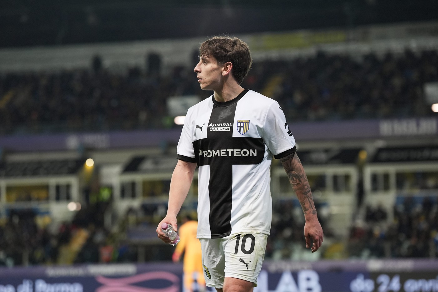 Lovitura primită de Cristi Chivu în prima repriză a meciului Parmei cu Bologna