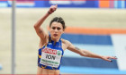 diana ion