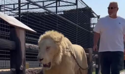 Imagine Stire Prima reacție a lui Cosmin Olăroiu, după ce i-a lăsat fără cuvinte pe românii din Suceava blocați la Dubai | 2review.ro