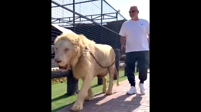 Cosmin Olăroiu la o grădină zoologică exclusivistă din Dubai / Foto: Instagram @albuqaish.jungle