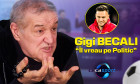 Gigi Becali - Politic