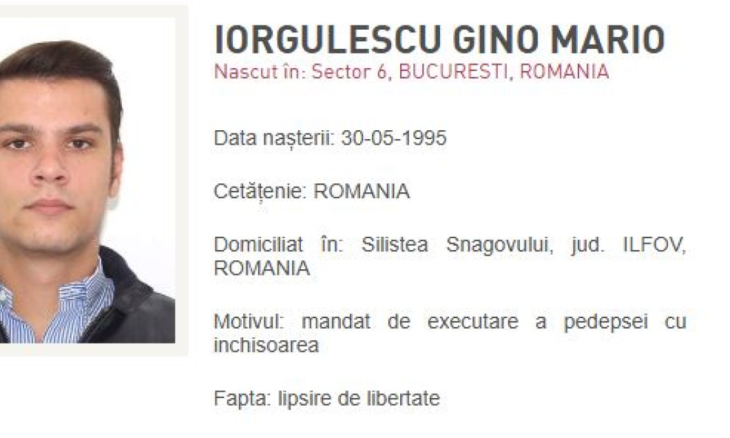 mario-iorgulescu