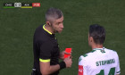 radu-petrescu-cipru8
