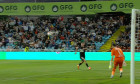 gol goncalves
