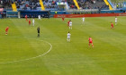 farul uta arad