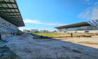 stadion-alexandria