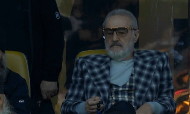 gigi becali arena nationala
