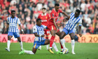 brighton-liverpool