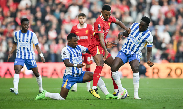 brighton-liverpool