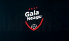 gala-neagu-logo
