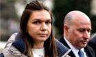 simonahalep