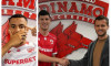 colaj-sivis-perica-nicolescu