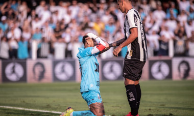 Santos V Botafogo - Brasileirao 2025, Sao Paulo, Brazil - 01 Jun 2025