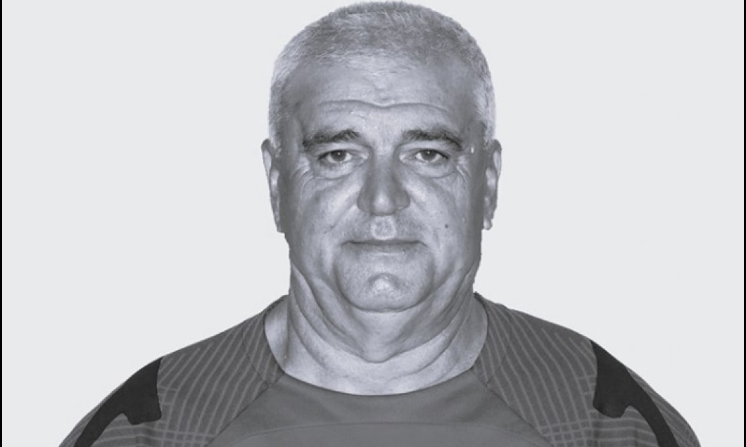 vasile manaila